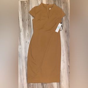 NWT Calvin Klein Dress